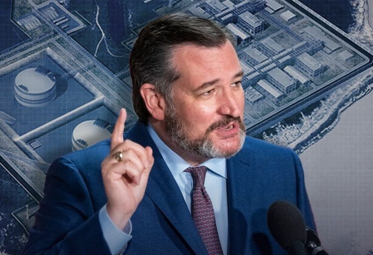 Texas Sen. Ted Cruz warns Republicans not to repeat past mistake of dismissing his idea in upcoming political fight while seeking budget deal that would fund ICE for the next 10 years