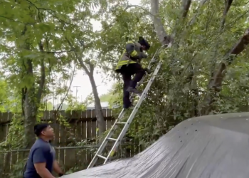 Waco Fire Department crews safely rescued cat stuck in tree in north Waco