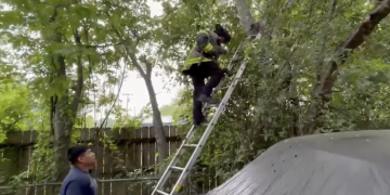 Waco Fire Department crews safely rescued cat stuck in tree in north Waco