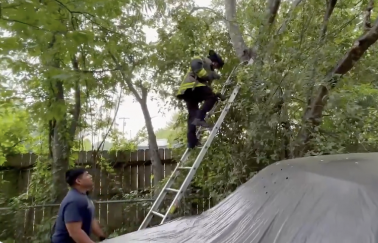 Waco Fire Department crews safely rescued cat stuck in tree in north Waco