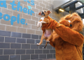 Pet Circle Regional Animal Center reaches capacity, City of Waco urges residents to adopt