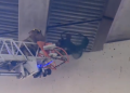 DFR crews rescue dog stuck on bridge pillar during difficult animal call