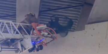 DFR crews rescue dog stuck on bridge pillar during difficult animal call