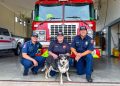 WFD crews from Station #12 remind citizens to consider adopting shelter animals after spending time with adoptable dog Harley Quinn