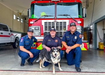 WFD crews from Station #12 remind citizens to consider adopting shelter animals after spending time with adoptable dog Harley Quinn