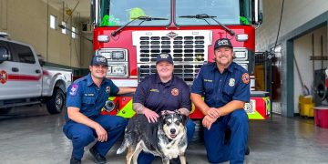 WFD crews from Station #12 remind citizens to consider adopting shelter animals after spending time with adoptable dog Harley Quinn