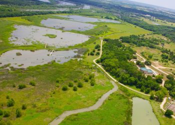 City of Waco announces night hike at Lake Waco Wetlands as Cameron Park Zoo staff will lead guided tour