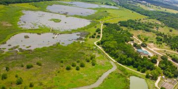 City of Waco announces night hike at Lake Waco Wetlands as Cameron Park Zoo staff will lead guided tour
