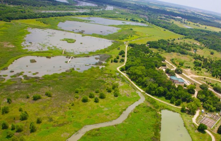 City of Waco announces night hike at Lake Waco Wetlands as Cameron Park Zoo staff will lead guided tour