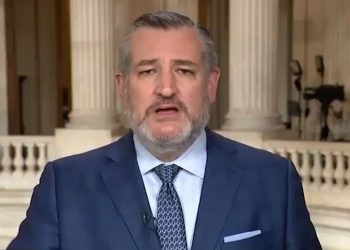 Texas Sen. Ted Cruz backs “proven conservative fighter” in major governor race endorsement, says he has the courage and leadership South Carolina needs