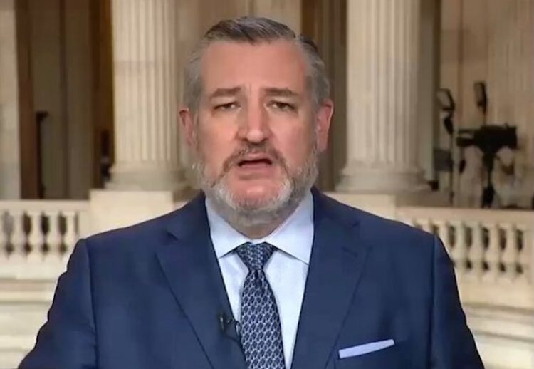 Texas Sen. Ted Cruz backs “proven conservative fighter” in major governor race endorsement, says he has the courage and leadership South Carolina needs