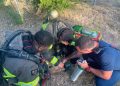 Waco firefighters rescue pets from house fire as crews respond to multiple emergencies