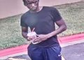 Police seek public’s help identifying suspect accused of assaulting security officer
