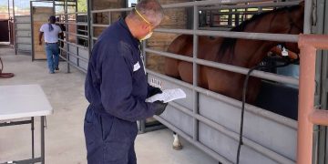 Texas Agriculture Commissioner Sid Miller announces Del Rio livestock facility reopening for horse exports to Mexico
