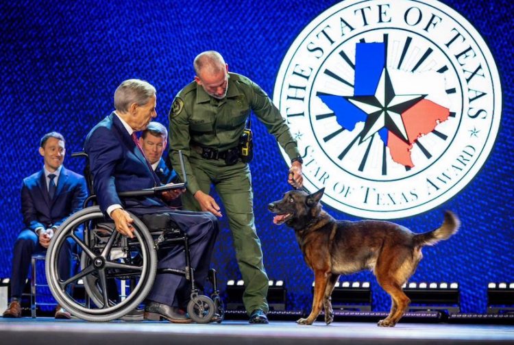 Waco K9 Officer Andor honored with Star of Texas Award after surviving 2025 shooting
