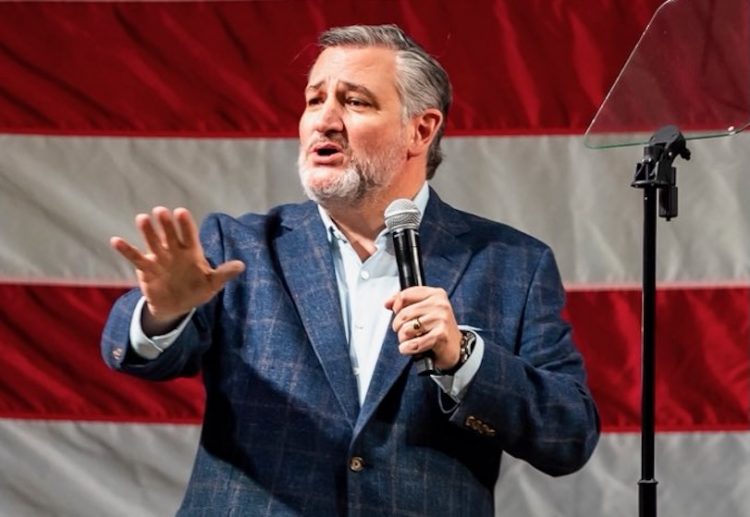 Texas Sen. Cruz takes aim at Democrat Senate candidate Peltola, accuses her of recruiting opponent’s namesake to confuse Alaska voters and take votes from GOP incumbent